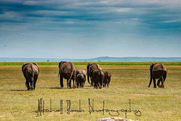 20190602_africa_1279.jpg