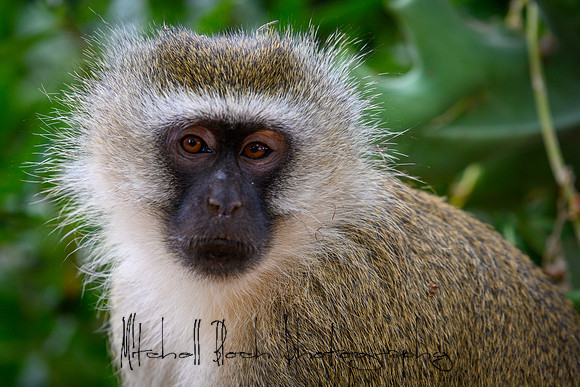 20190602_africa_0319.jpg