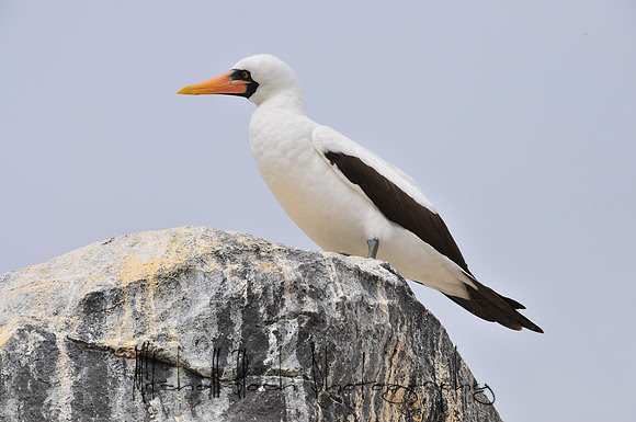 DSC_1709-2.jpg