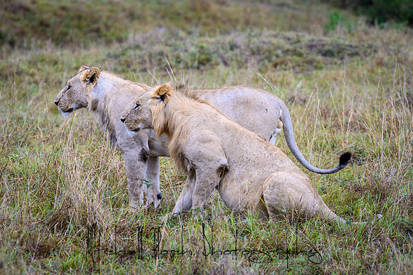 20190607_africa_7027.jpg