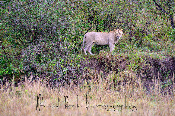 20190607_africa_7088.jpg