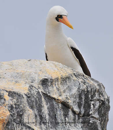 DSC_1708-2.jpg