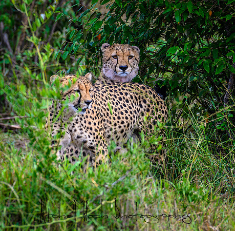 20190607_africa_7423.jpg