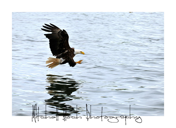 Copy_of_DSC_6975edited.jpg