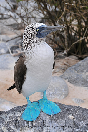 DSC_1763-2.jpg