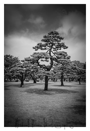 20130722_Tokyo_0464-Edit-Edit