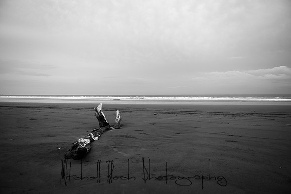 20190507_costa_rica-125-2.jpg