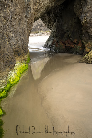 20180512_bandon_oregon_1464.jpg