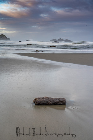 20180511_bandon_oregon_0786.jpg