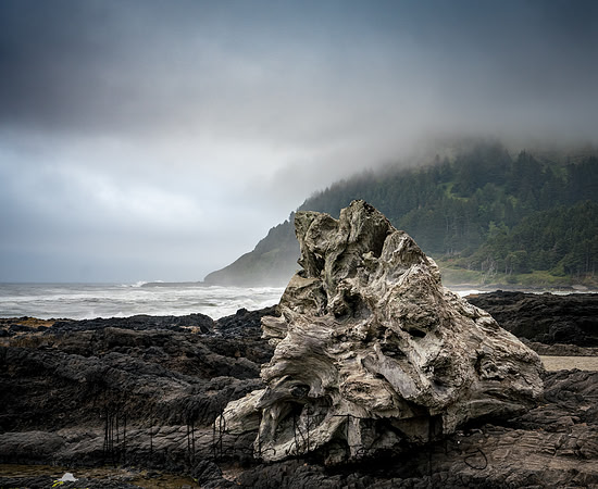 20180513_bandon_oregon_2967.jpg