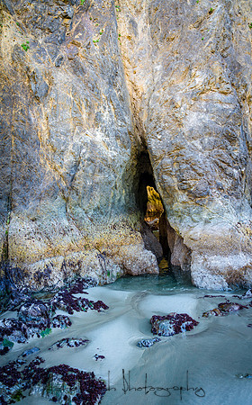 20180510_bandon_oregon_0647.jpg