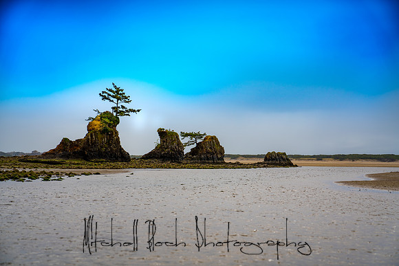 20180509_bandon_oregon_0071.jpg