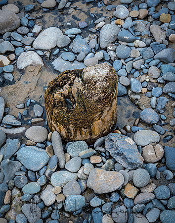 20180509_bandon_oregon_0053.jpg