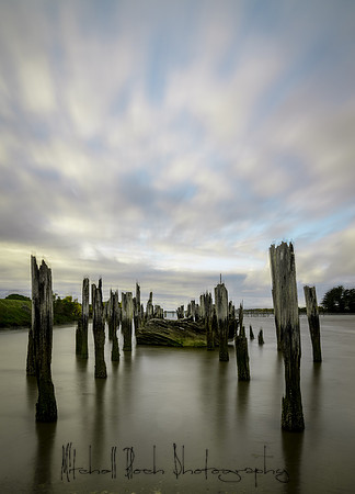 20180510_bandon_oregon_0705.jpg