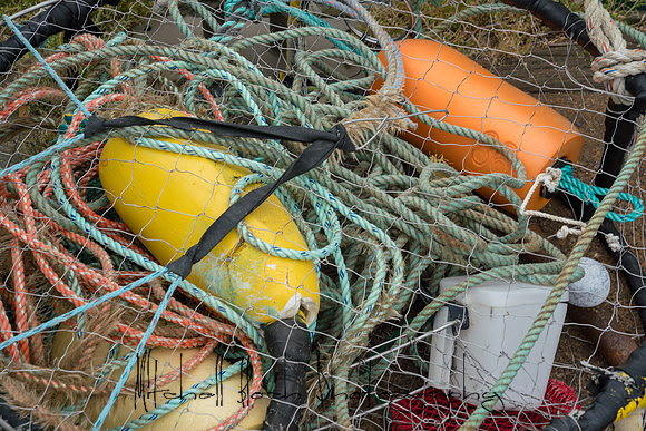 20180513_bandon_oregon_2136.jpg