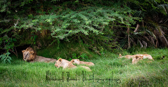20190602_africa_1562.jpg