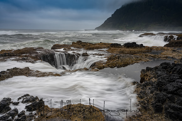 20180513_bandon_oregon_2706.jpg
