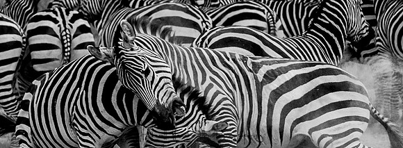 20190602_africa_1482-3.jpg
