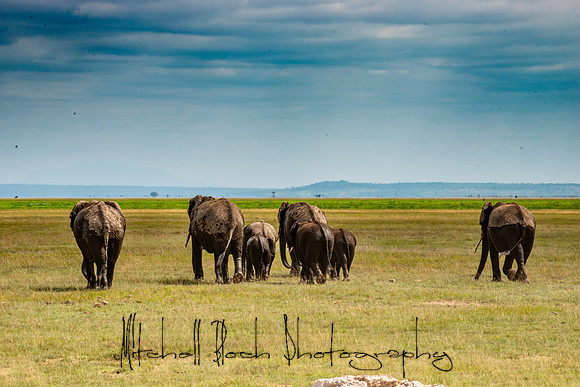 20190602_africa_1279.jpg