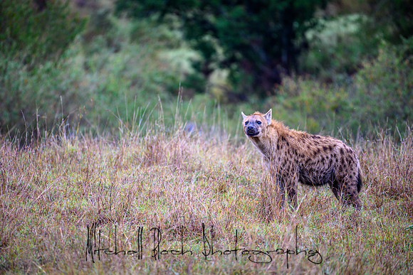 20190607_africa_6806.jpg