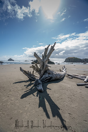 20180510_bandon_oregon_0479.jpg