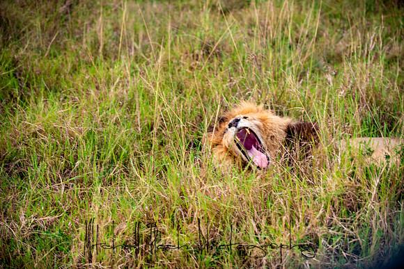 20190605_africa_5169.jpg