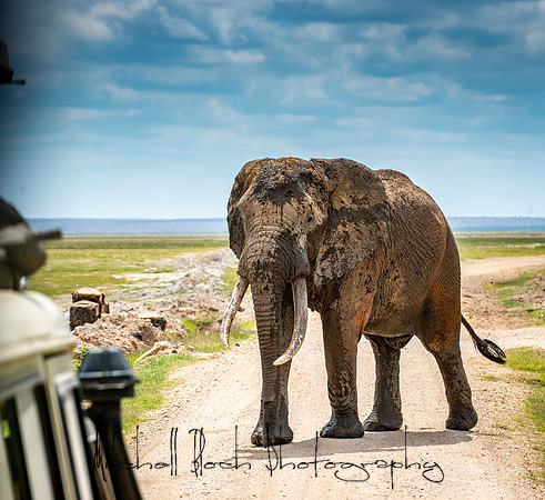 20190602_africa_1389.jpg