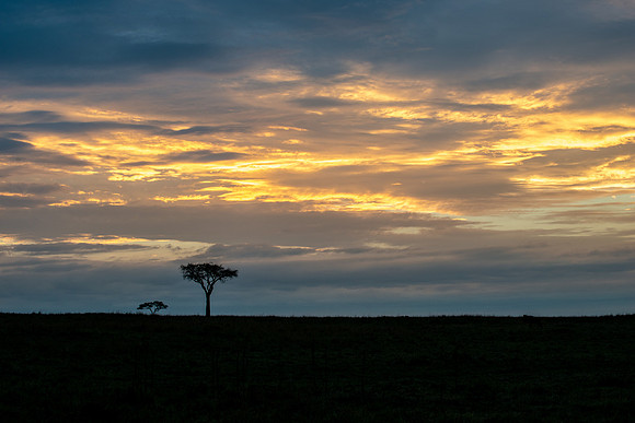 20190606_africa_6222.jpg