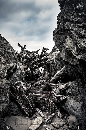 20180510_bandon_oregon_0295.jpg