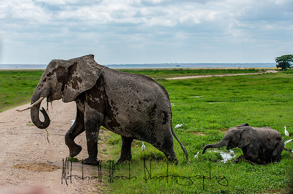 20190602_africa_1317.jpg