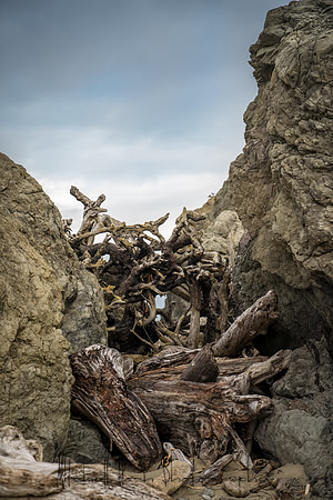 20180510_bandon_oregon_0293.jpg