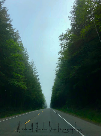 20180513_bandon_oregon_1740.jpg