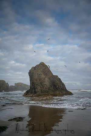 20180511_bandon_oregon_1019.jpg