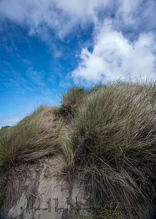 20180511_bandon_oregon_1155.jpg