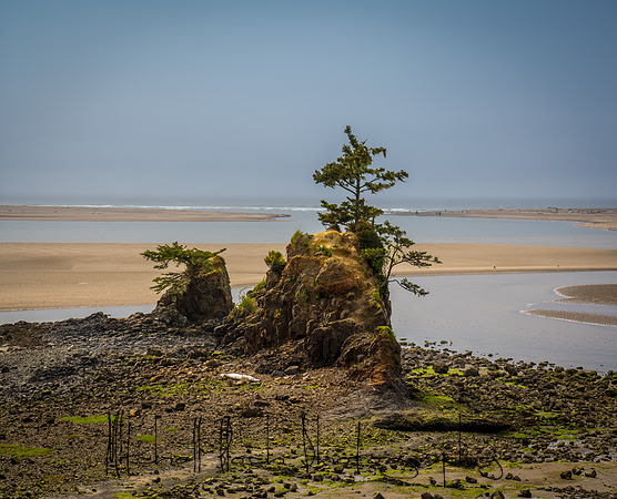 20180509_bandon_oregon_0090.jpg