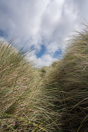 20180511_bandon_oregon_1149.jpg