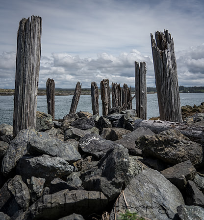 20180510_bandon_oregon_0361.jpg