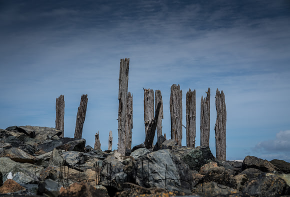20180510_bandon_oregon_0370.jpg