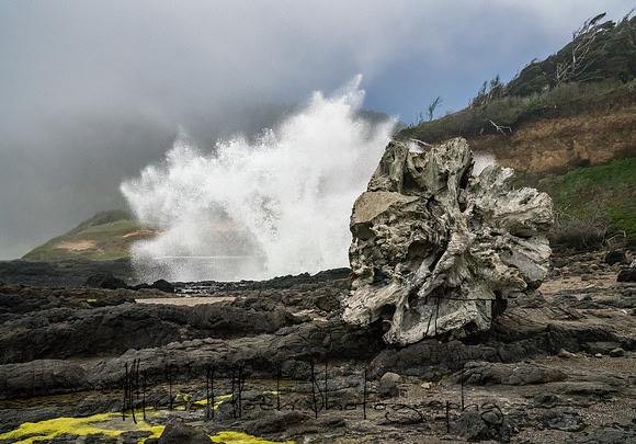 20180513_bandon_oregon_2085-Edit.jpg