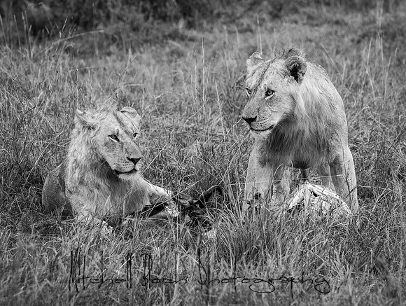 20190606_africa_6300.jpg