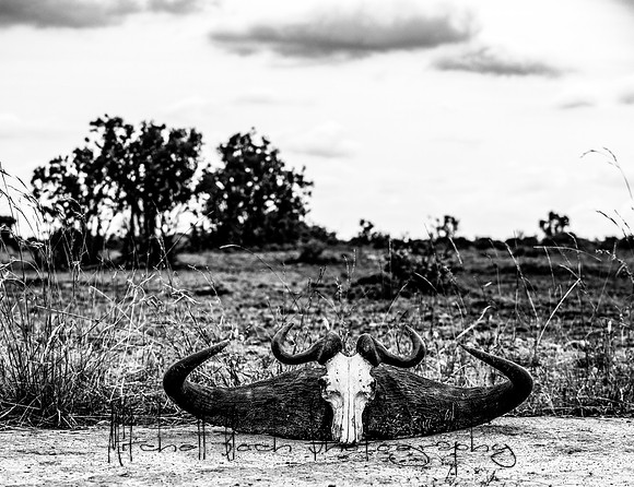 20190606_africa_6393.jpg