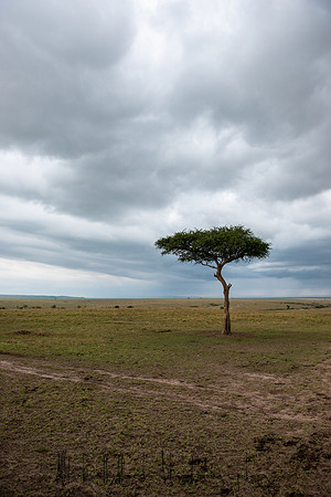 20190606_africa_6570.jpg