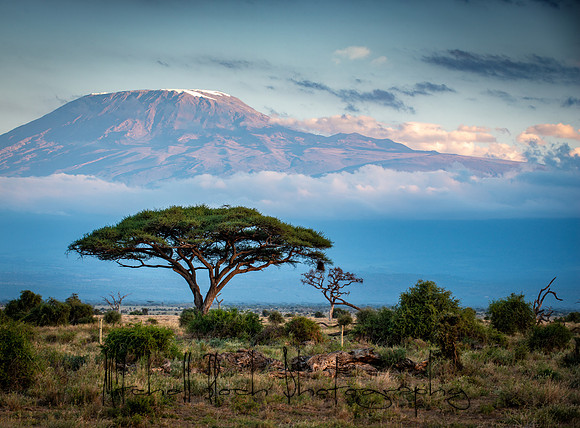 20190601_africa_0056.jpg