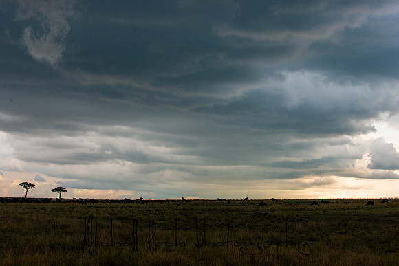 20190606_africa_6563.jpg