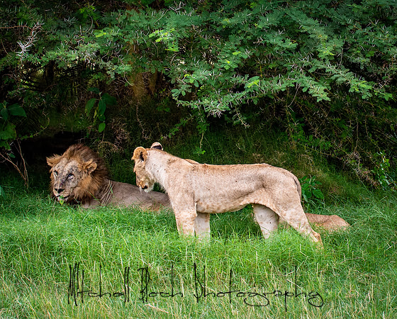 20190602_africa_1563.jpg