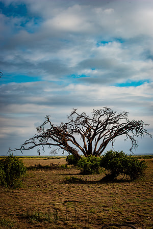 20190602_africa_1137.jpg