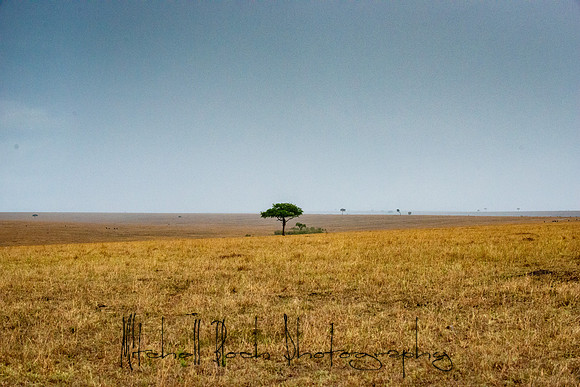 20190605_africa_5059.jpg