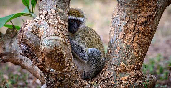 20190602_africa_0190.jpg