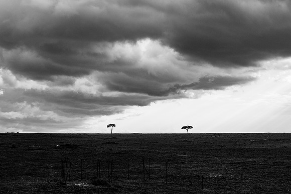 20190606_africa_6533.jpg