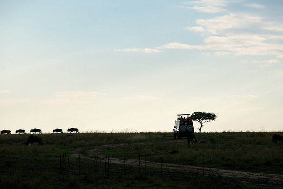 20190606_africa_6543-Edit.jpg
